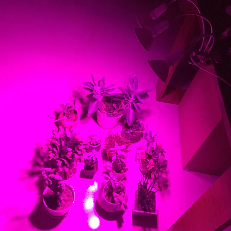 двойной 200 светодиодный светильник для выращивания растений цветов красная