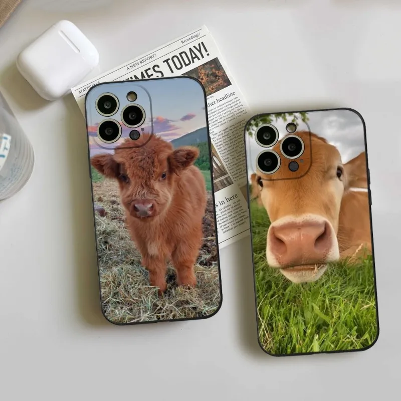 

Cute Highland Cow Phone Case FOR IPhone 14 13 11 12 Pro 8 7 Plus X 13 Pro MAX XR XS MINI Black Covers