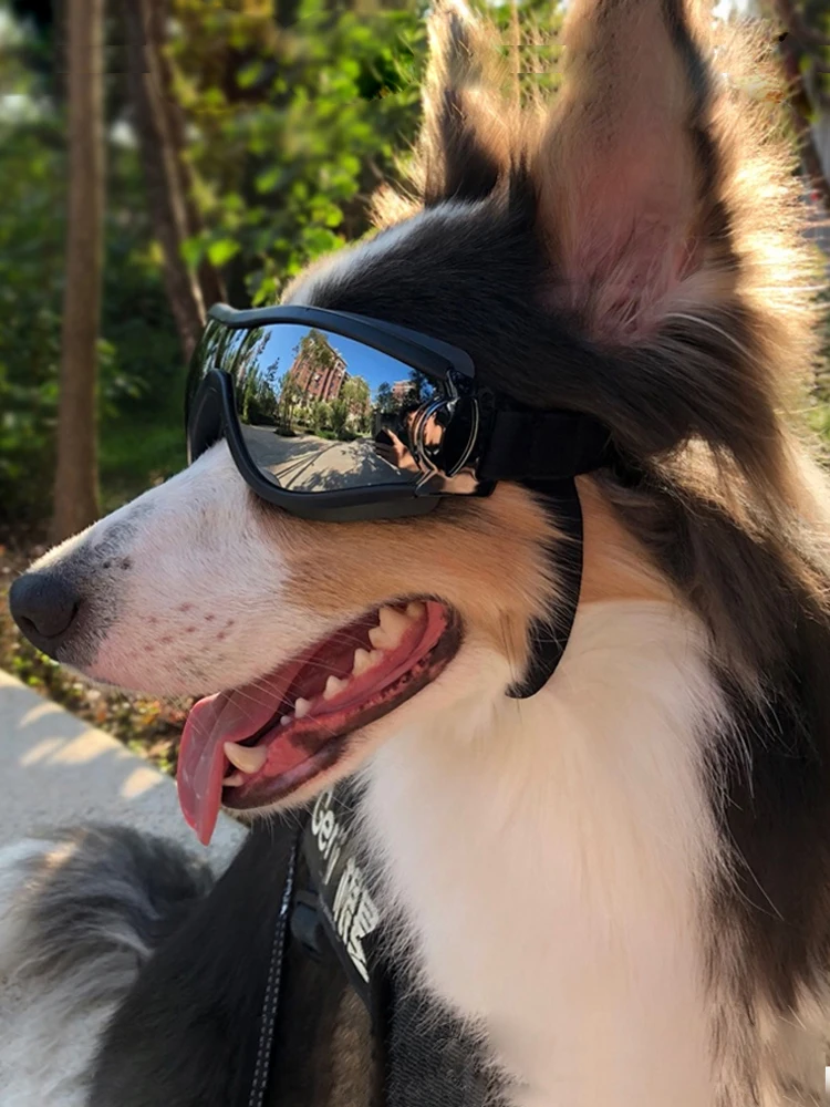 

Goggles special sunglasses corgi dog pet dog glasses prevent goggles teddy sunglasses uv protection