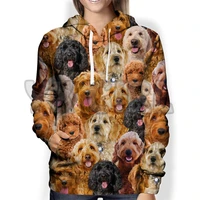 you will have a bunch of goldendoodles3d printed hoodies men for women unisex pullovers funny dog hoodie casual street tracksuit
