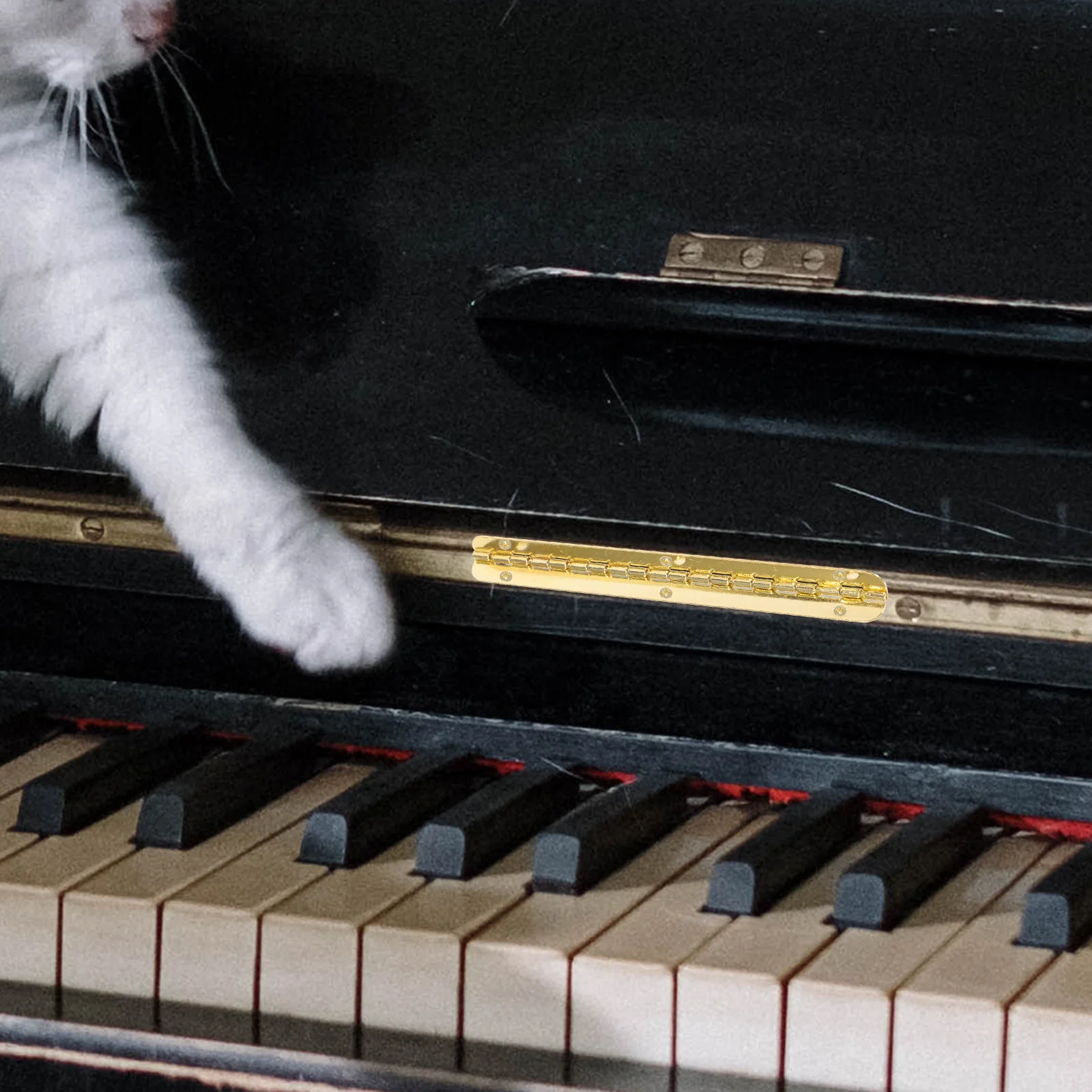 

10 Pcs Piano Hinge Hinges Cabinet Door Drop Down For Doors Metal Crafts Small Box Heavy Duty Table