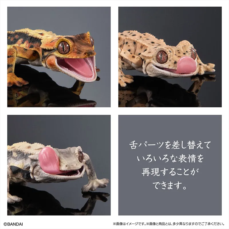 Bandai Gashapon биографическая энциклопедия Хохлатая собака Gecko 02 мобильный ползание