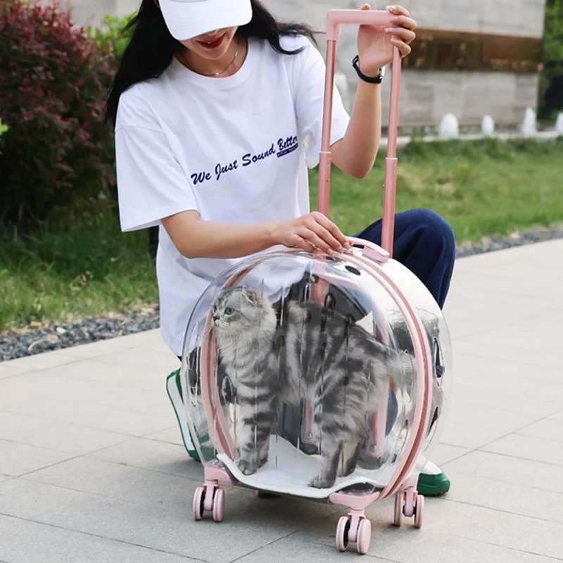 

Pet Cat Stroller Small Dog Handbag Transparent Trolley Case Rolling Luggage Carrier Puppy Travel Bag Dog Transporter Carrier