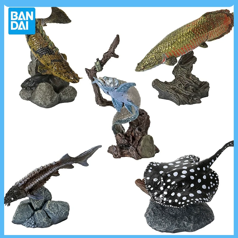 Оригинальное открытое японское существо гасяпон Bandai мини бетта рыбный океан