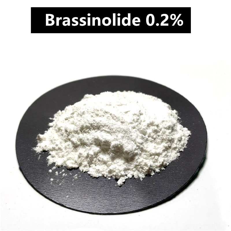 

Brasinolide 200 g, plant growth regulator, water soluble, 0.2% SP
