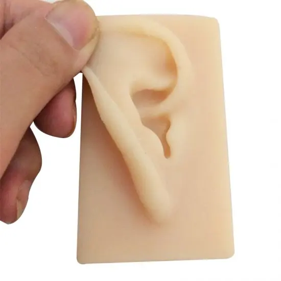 

Natural Size Hearing Aid Fitting Human Ear Model