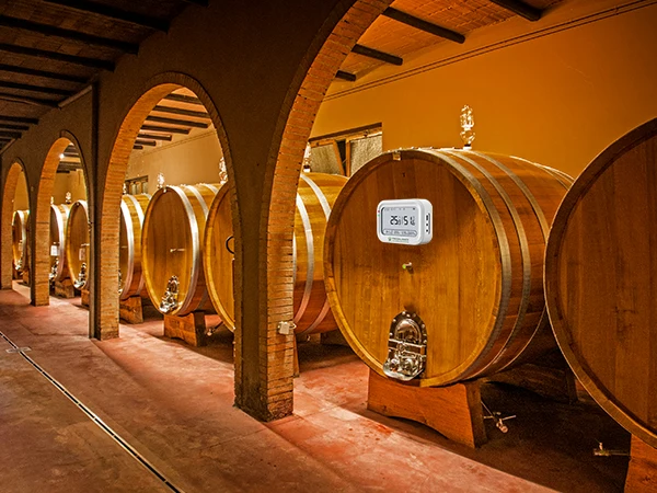 WIFI датчик температуры HACCP Колоды сверхнизкотемпературный термометр