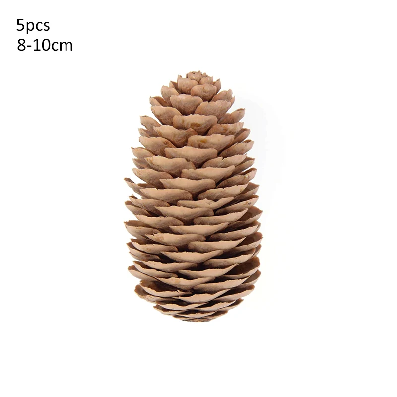 

Натуральные кедровые орехи, фрукты и цветы для декора