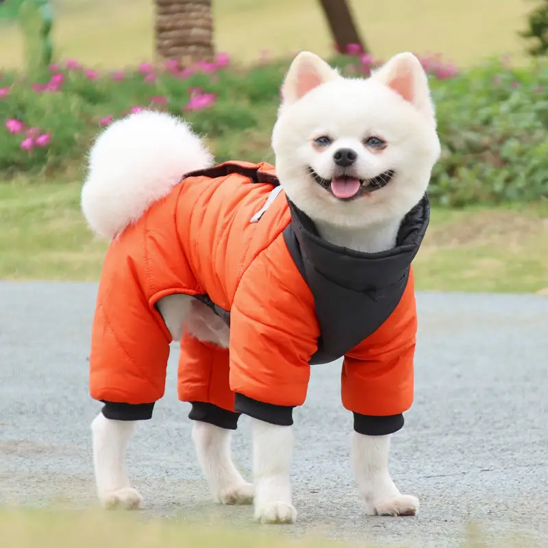 

Clothes Winter Teddy Bichon Pomeranian Schnauzer VIP Small and Medium-sized Dogs Thicken Coat Warm Four-legged Clothes