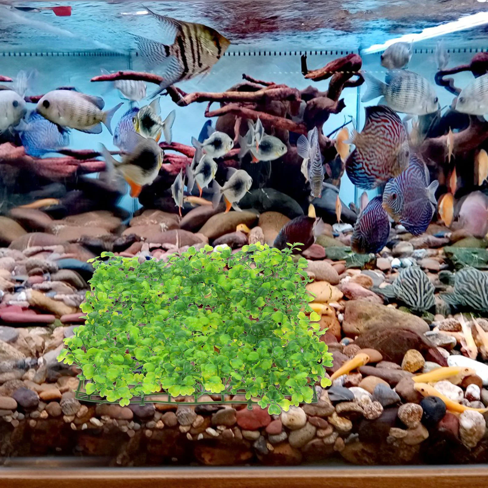 Аквариум Трава Украшение газона Искусственные растения Коврики Бетта для