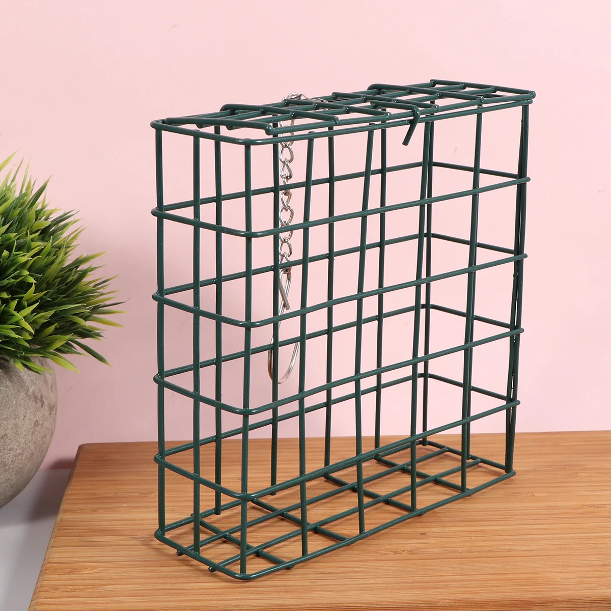 Hanging Bird Feeder Hummingbird Outdoor Agapornis Accessories Station Feeders Squirrel