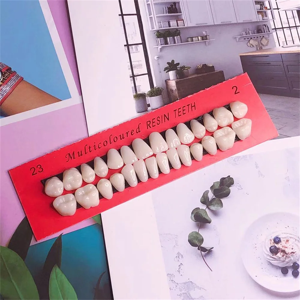 

28Pcs Set Resin Teeth Model Waterproof Fake Teeth Set Dental Teaching Lightweight False Teeth for Practice