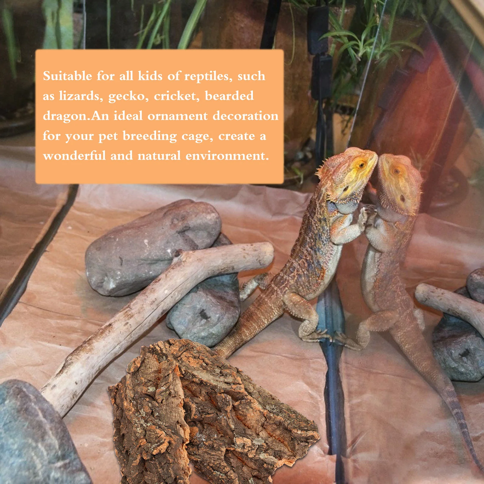 

Reptile Bark Platform Tank Decor Terrarium Accessories Lizard Hide Cork Turtle Gecko Dragon Petclimbing Hut Wood Basking Beard