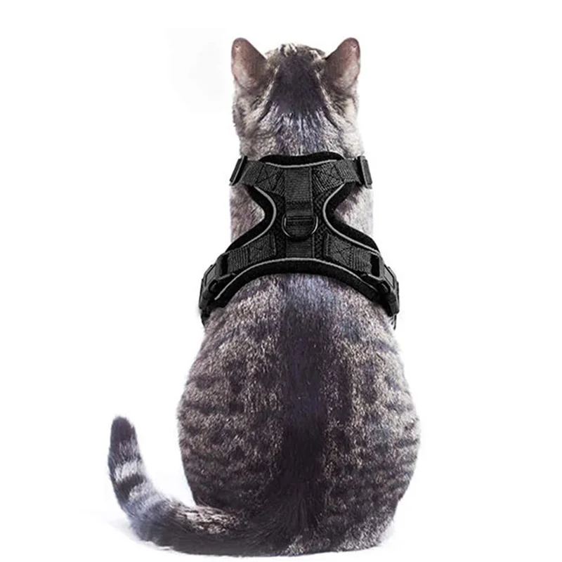 

Cat Harness Adjustable Vest Walking Traction Rope Set For Dog Collar Breathable Mesh Harness For Small Medium Cat Dog Pet Lead