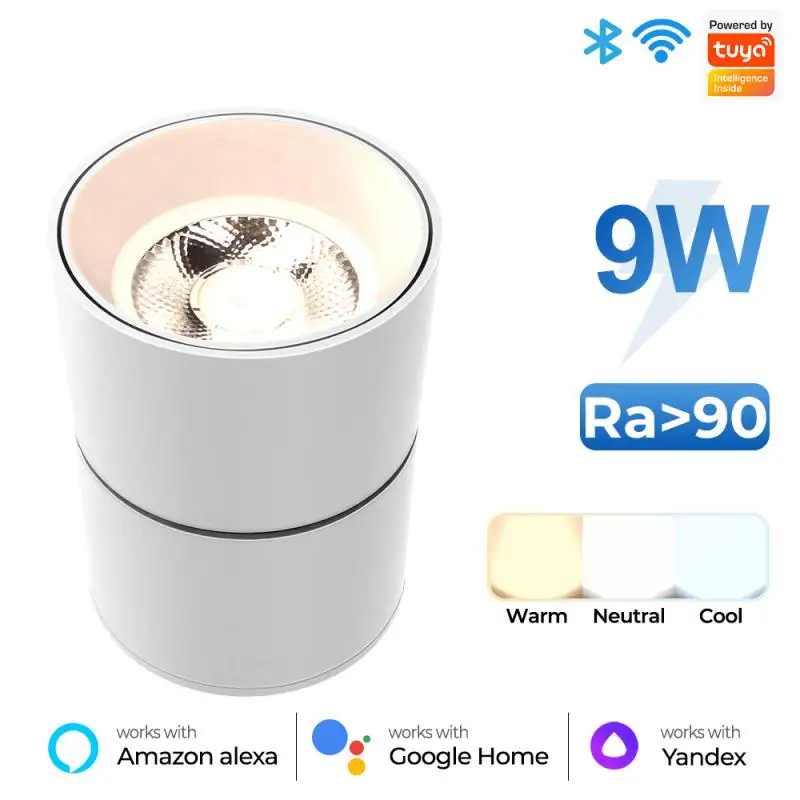 

High Quality Intelligent Rotating Ceiling Spotlight Adjustable Color Temperature Top Lamp With Shade Fixed To The Ceiling