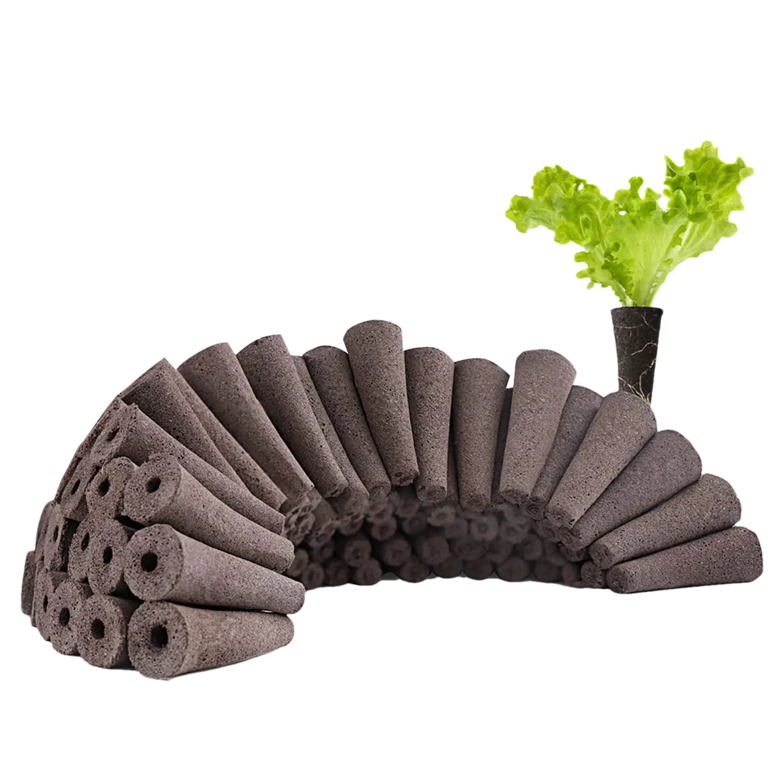 

Seed Grow Sponges Replacement Root Growth Sponges Seedling Starter Plugs Seed Starting Seed Pod Hydroponic Garden Planting