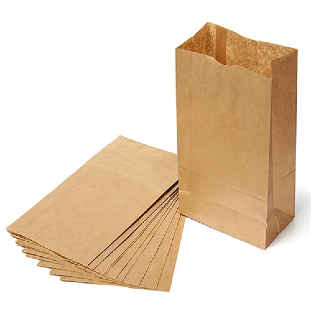 

10Pcs Brown Kraft Paper Bags Party Wedding Favors Small Gift Bread Food Bags Bakery Bags for Cookie Bread Takeout Bags Gift Bags