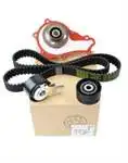 

1609525680 for timing camshaft GERGI set + water pump
