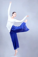 ballet classical dance practice suit suit modern dance suit adult female elegant chiffon yoga suit
