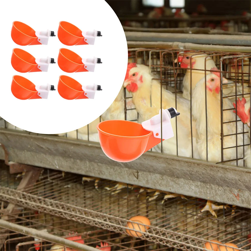 

Chicken Water Cups Pigeon Feeding Feeder Automatic Waterer Feeders Supplies Filling Poultry Bowls
