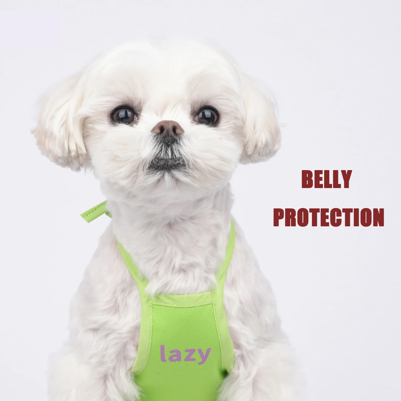 

Puppy Belly Protection Pet Apron Solid Color Spring Summer Warm Tummy Anti-dirty Pet Clothing Summer Pet Accossories Pet Items