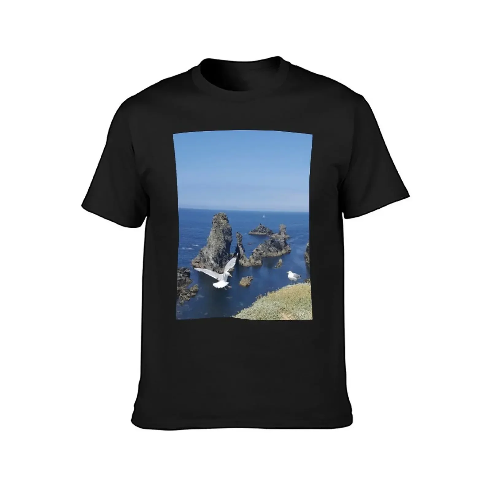 Футболка Belle Ile en Mer милая одежда быстросохнущие тяжелые мужские футболки размера