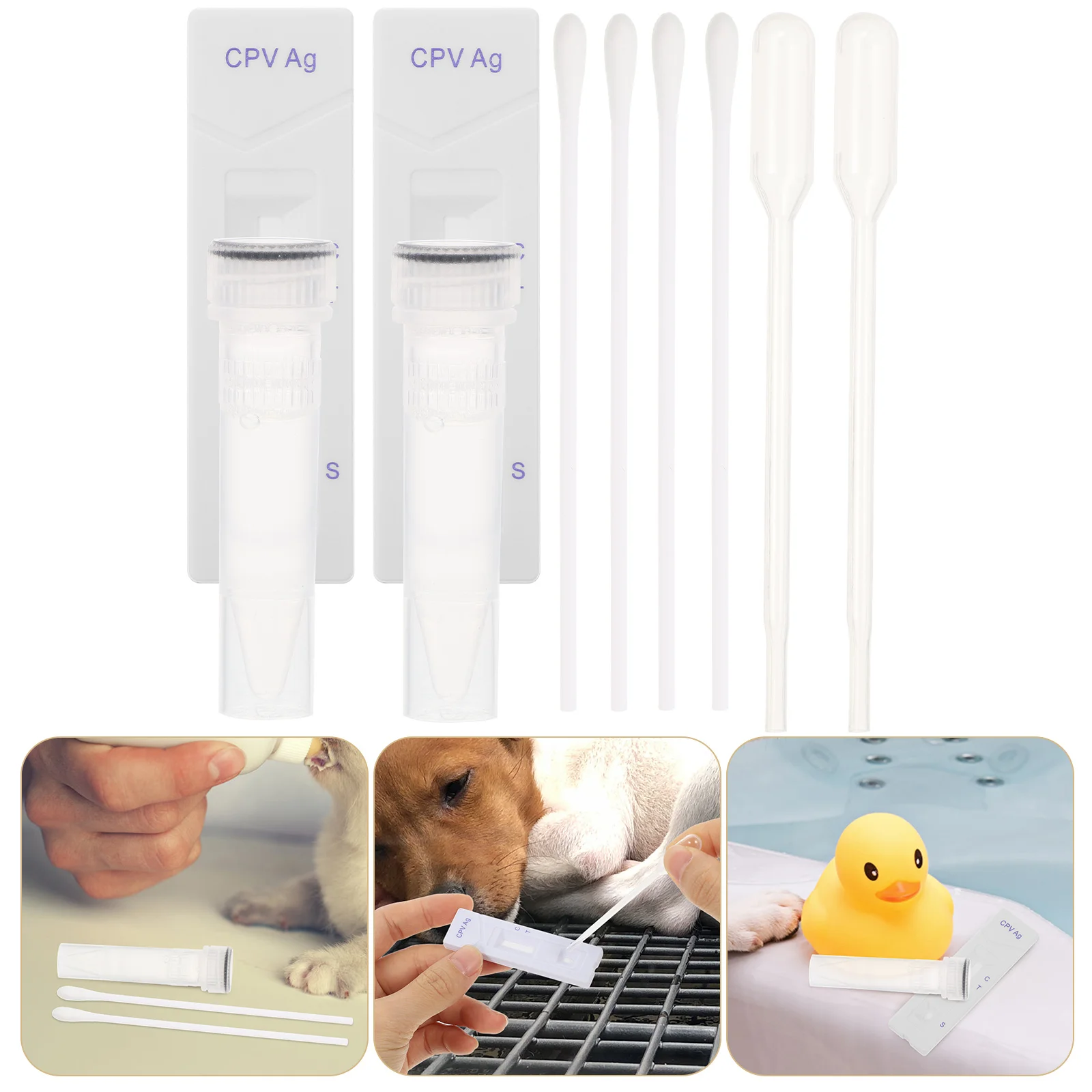 

Test Card Professional Cpv Ag Paper Convenient Testing Dog Supplies Strips Paperboard Canine Distemper