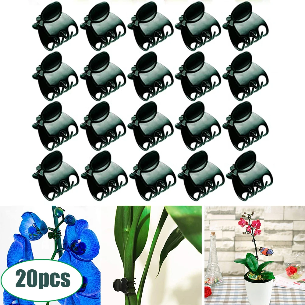 

20pcs Phalaenopsis Orchid Gardening Clip Vine Fixing Clip Plastic Grafting Clip Reusable Garden Plant Support Garden Tools