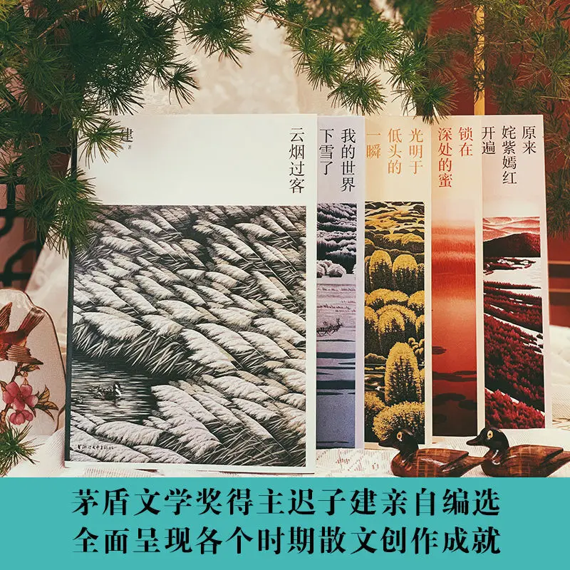 Рисунок 2 - Книга китайской литературы Chi Zijian prose