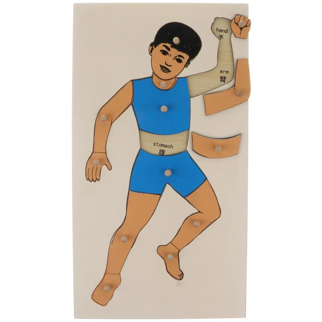 

Wooden Montessori Toys Boy Body Theme Puzzle Pegged Puzzle for Kids Toddlers