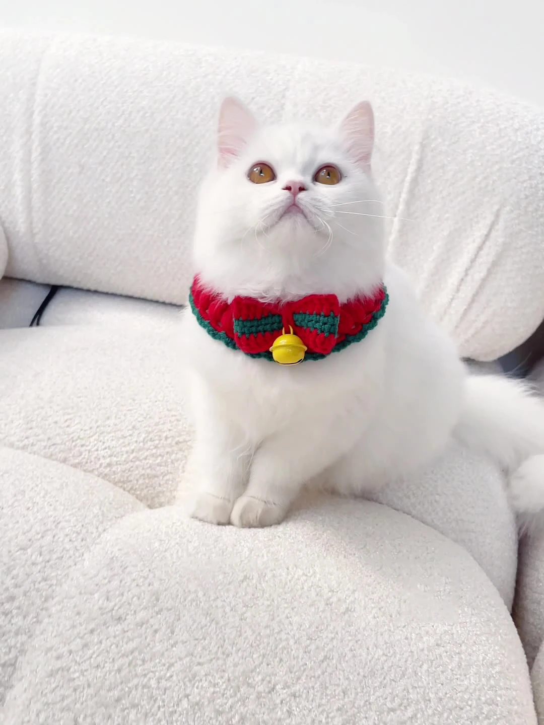 

Christmas Bow Collar Small Dog Collar Accessories Cat Cute Collar