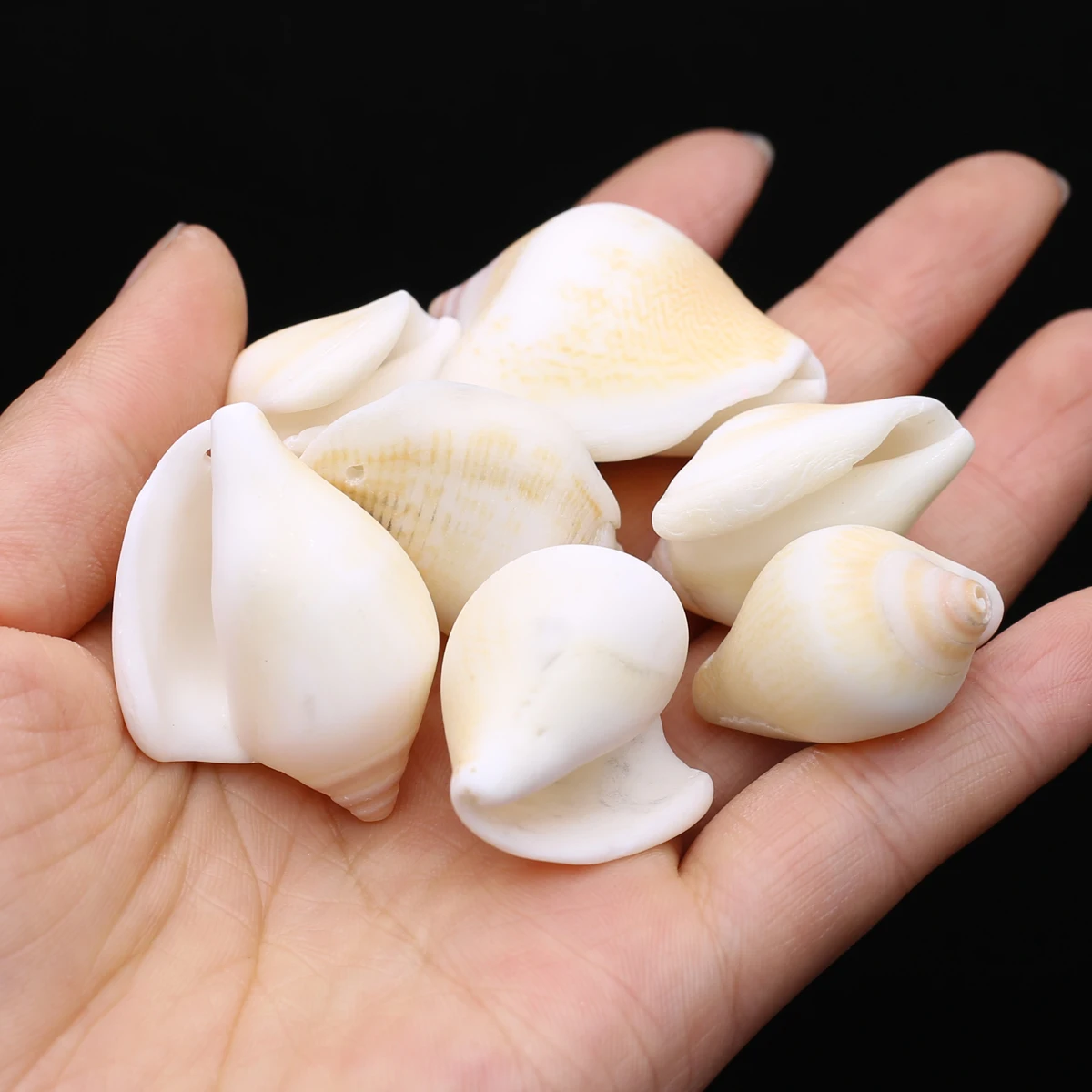 10 шт./лот бусины из натуральной ракушки раковины россыпью для изготовления