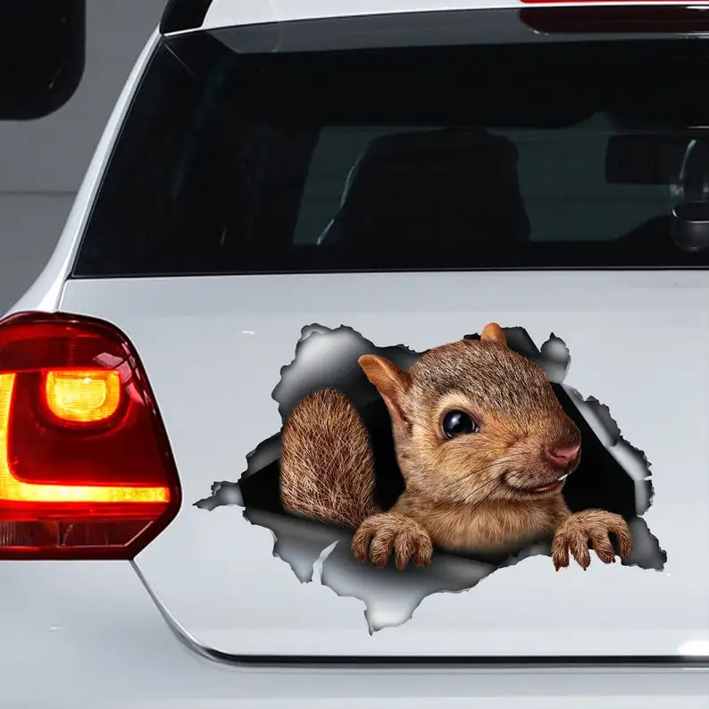 

Cute Squirrel car decal, Squirrel magnet, Squirrel sticker, Squirrel decal