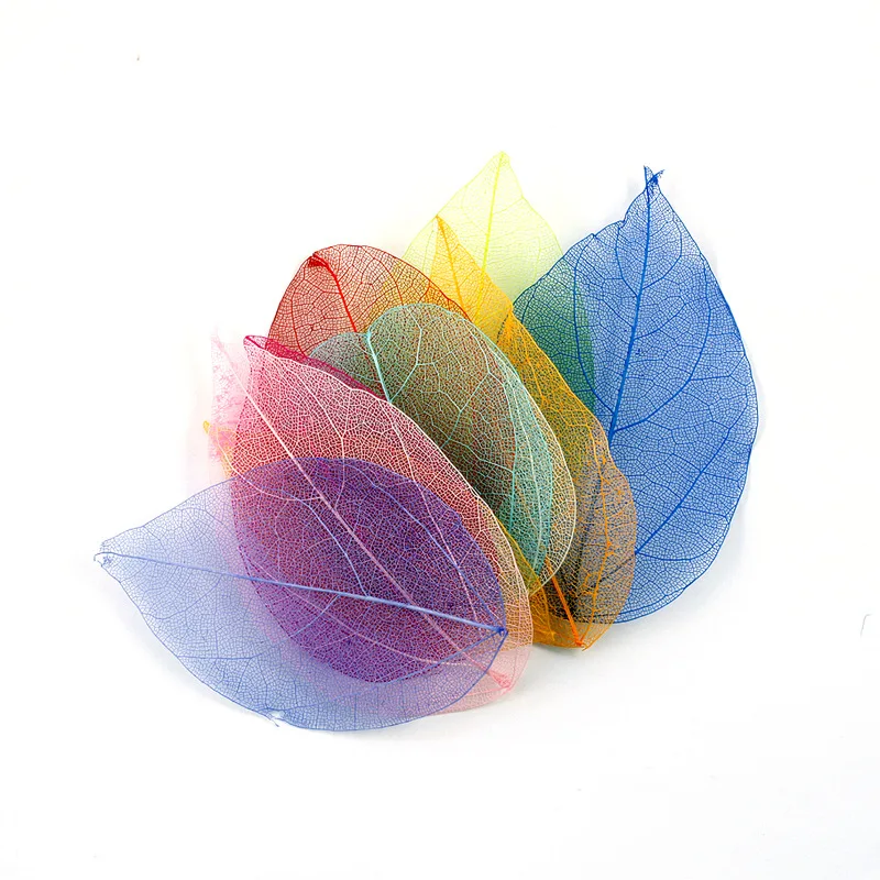 

36pcs/bag Natural Dry Flower Vein Adamantine Leaf Artificial Flowers Skeleton Leaf Dry Flower DIY Handmade Material Home Decor
