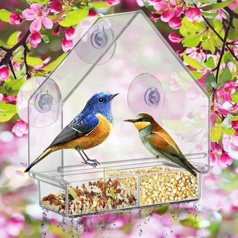Clear Window Bird Feeders With Strong Suction Cups Transpare