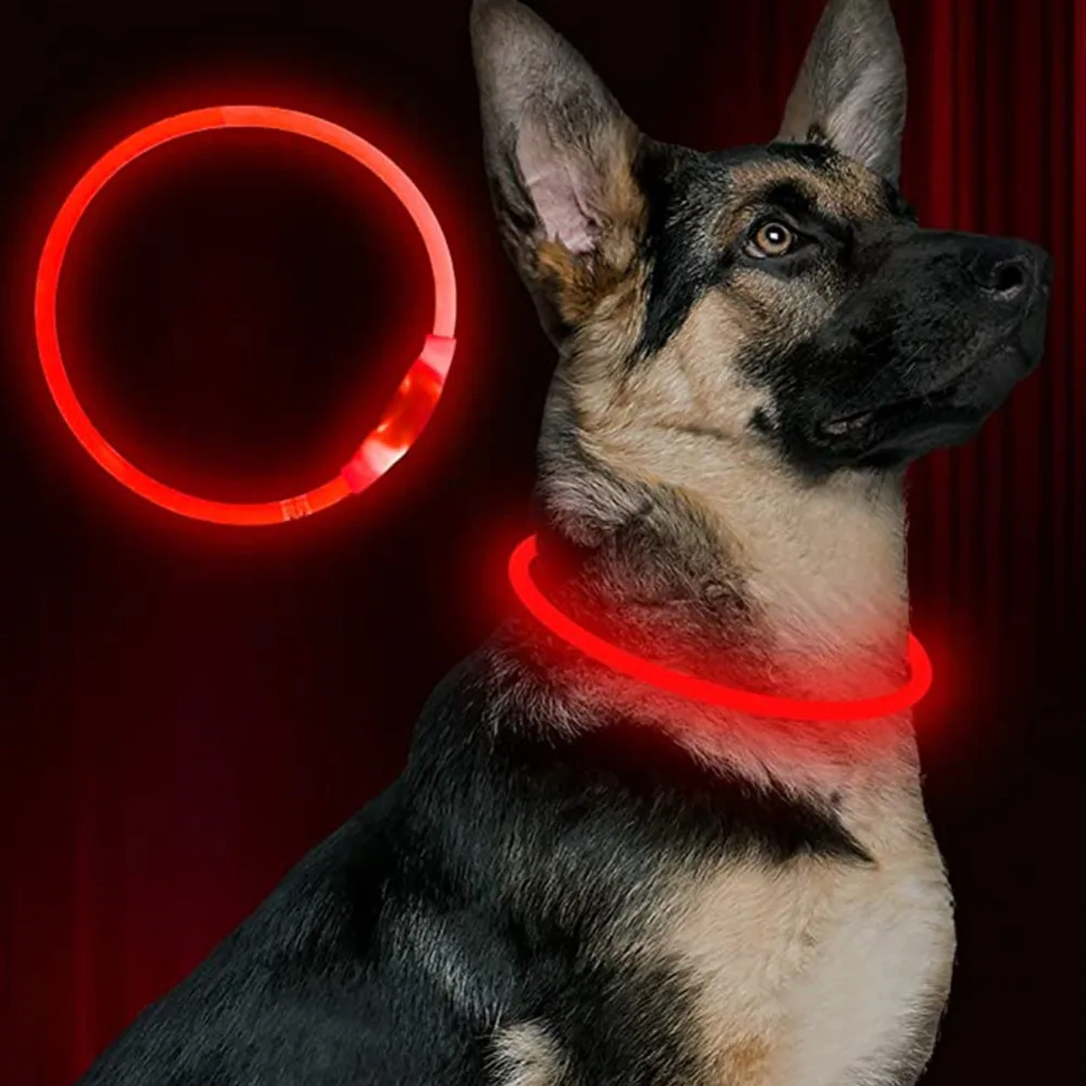 Led Usb Dog Collar Pet Dog Night Luminous Charge Collar Led Night Safety Flashing Glow Dog Loss Prevention Collar Pet Accessorie