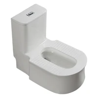 toilet changed to toilet side row wall drainage ceramic deodorant desktop table potty chair open mounted squat toilet