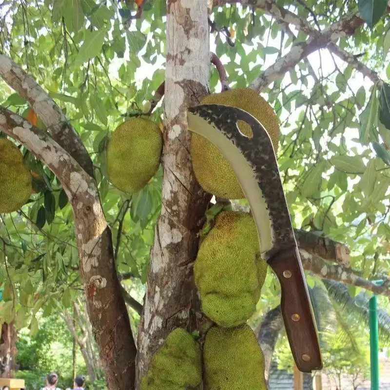 Нож ручной Кованый с узором для дуриана, нож с орлиным Ротом, уличный нож с серпом, бананом, нож для костей, уличный инструмент для мачете, нож