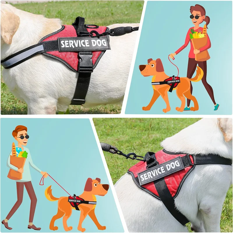 Шлейка для собак без тяги легко включена и выключена светоотражающая дышащая 3 м