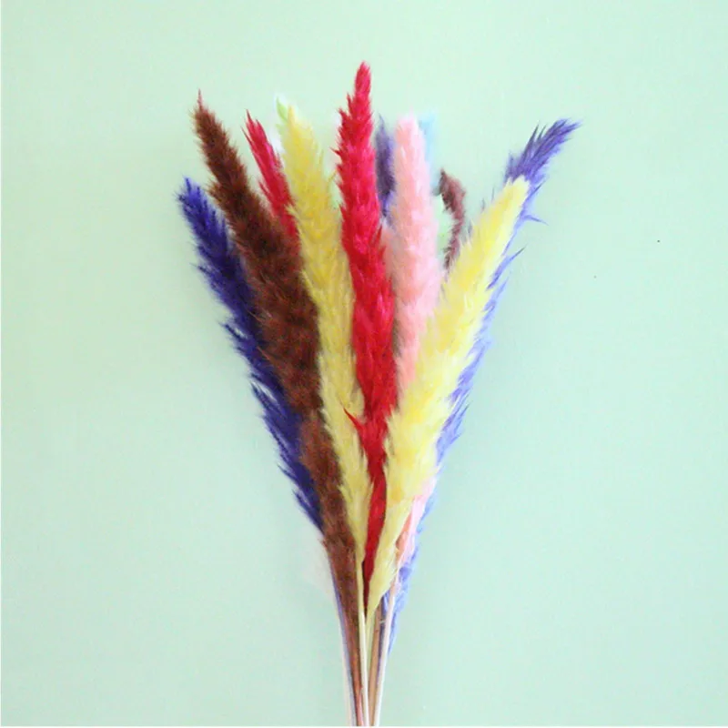 

Really Flore Small Pampas Grass New Arrivals In 2023 Immortality Bouquet Black, Pink, White, Primary Colors 15Pcs Per Bunch For