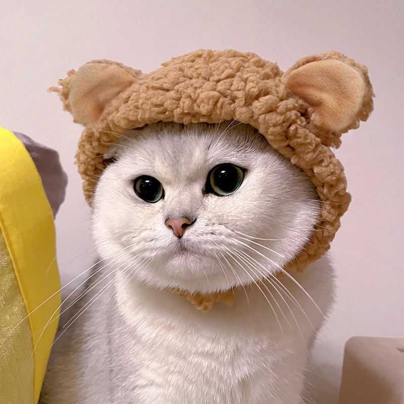 

Головной убор для домашних животных кошек вязаная шапка головной убор с забавными медвежьими ушками теплый короткий плюшевый головной убо...