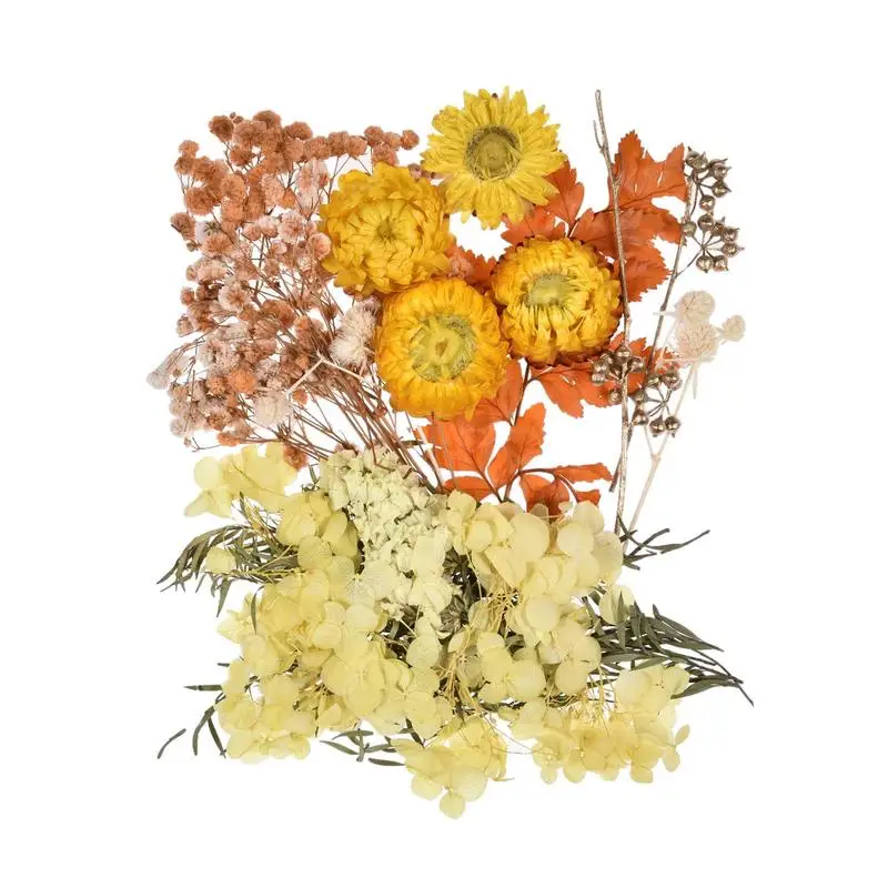 

Pressed Flowers For Resin Mold Flowers Natural Dried Flowers Leaves Colorful Dry Flowers Perfect For Scrapbooking DIY Art Crafts