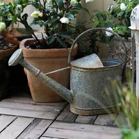 distressed metal garden plant watering can portable water tank garden succulent flower and grass waterer gardening tools