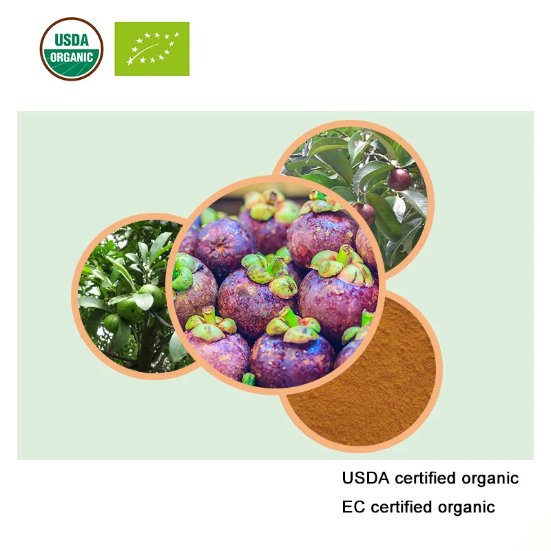 Натуральный высококачественный 100-1000 г экстракт мангостина 10:1 порошок Гарциния