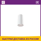 Потолочный светильник Maytoni C010CL-01W