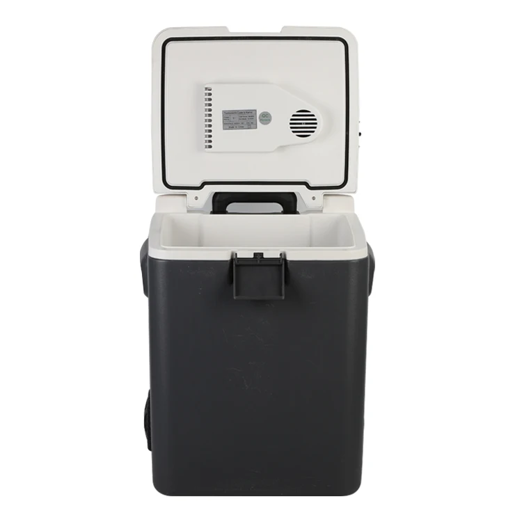 Complete in Specifications Medan Mini Fridge Rv Caravan Portable 12v Refrigerator Dc12/24v Input Mobile Cooler Box