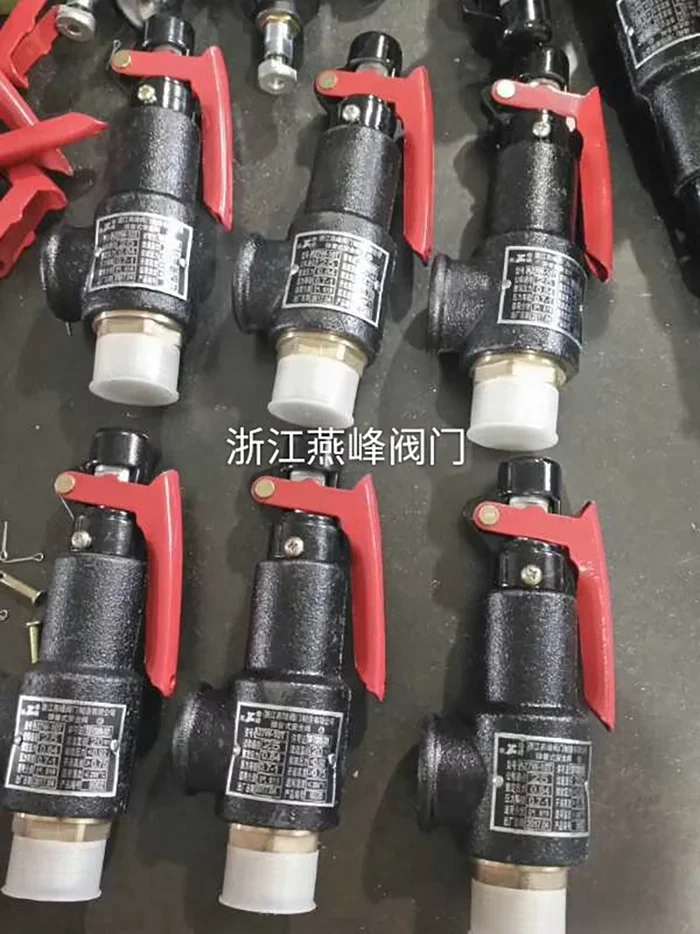 Чжэцзян Янфэн a27w-10t/16t паровой котел воздушный приемник пружинный тип DN 152025324050