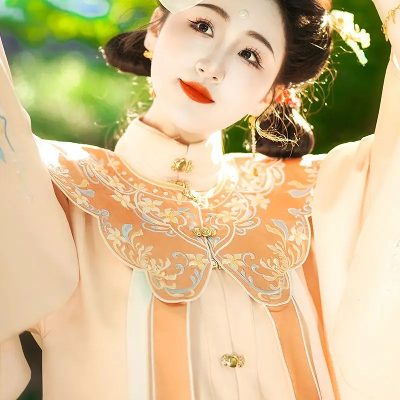 Оригинальная китайская династия Мин Женская юбка ханьфу с лошадью вышивкой в