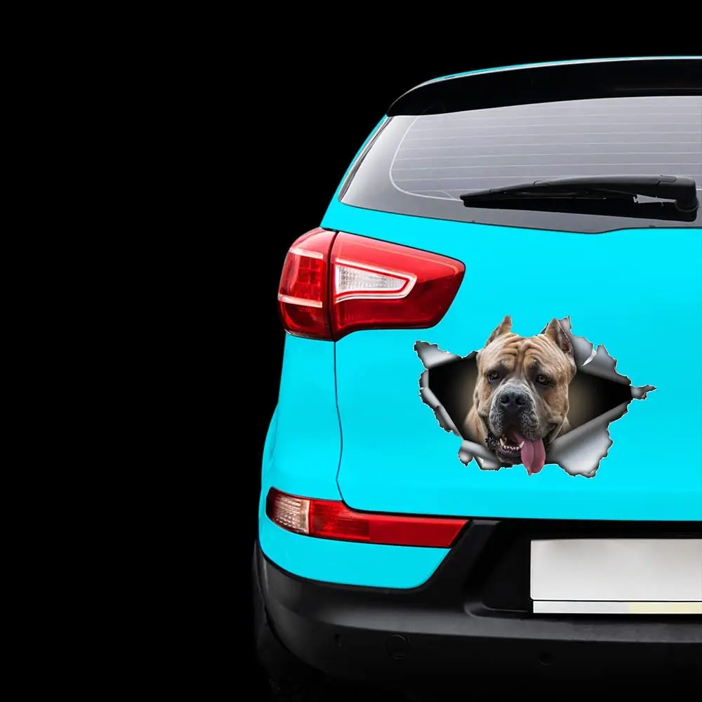

Formentino Cane Corso car Decal, Cane Corso Magnet, Cane Corso car Sticker, pet Decal