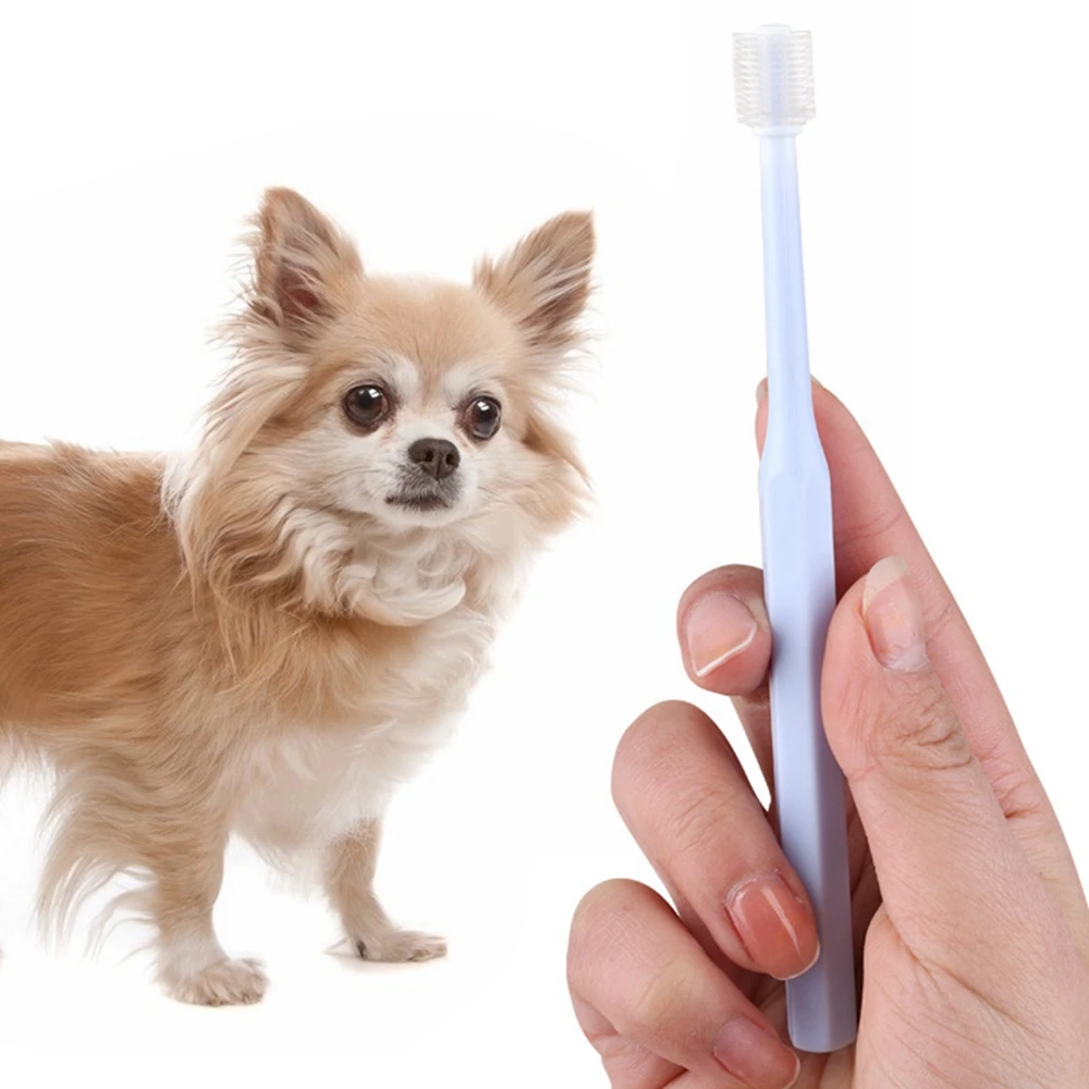 

360 Degree Cleaning Pet Toothbrush Round Cat Teeth Brush Addition Bad Breath Tartar Teeth Care Dog Cat Cleaning Mouth Supplies